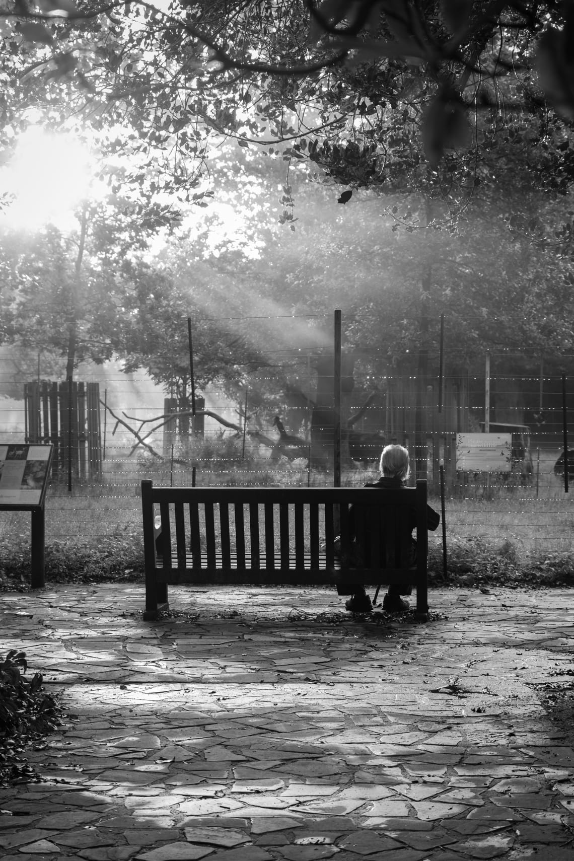 Contemplation