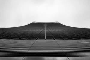 Looking Up