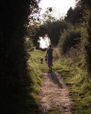 Walking The Dogs