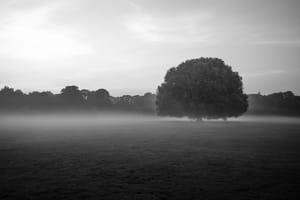 Morning Softbox
