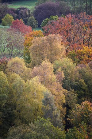 Colours Of Autumn