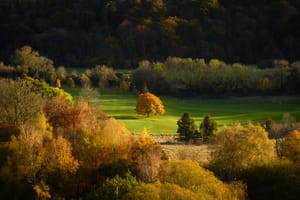 Splash Of Colour