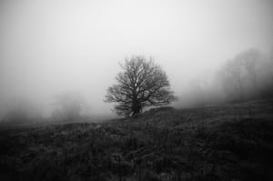 Skeleton In The Mist